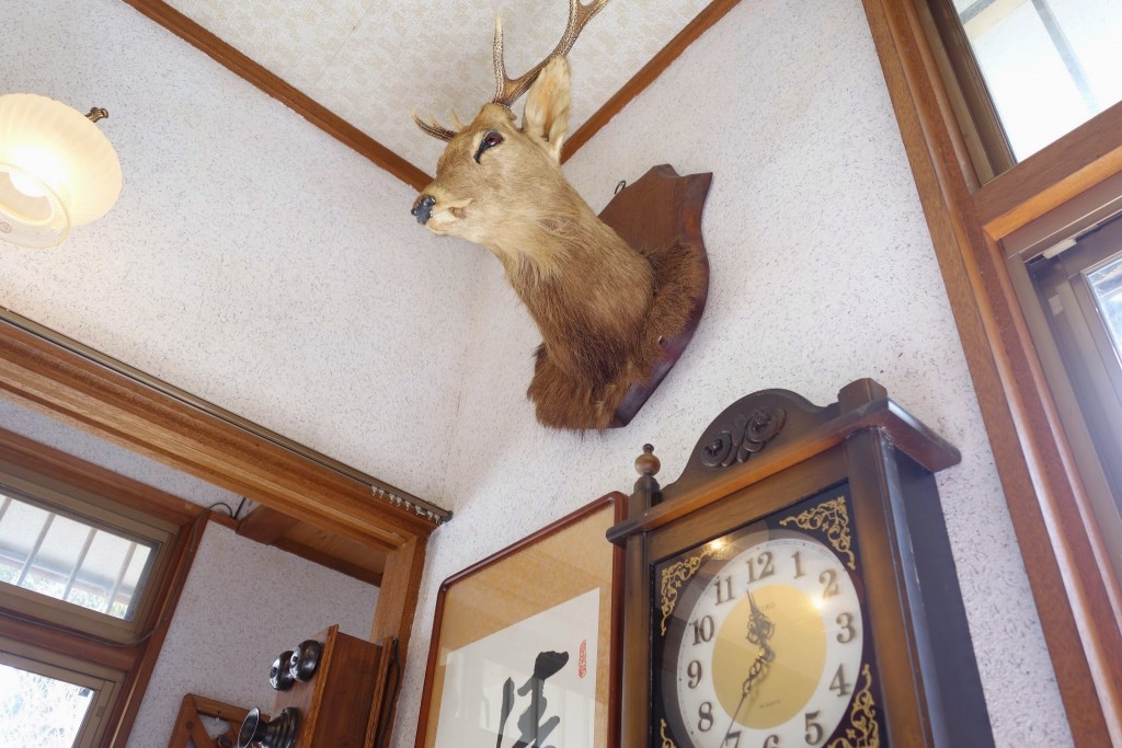 グルーポンのいい活用例を見た!長田の山の上にあるベジタブルカフェ トトロ でランチってきた