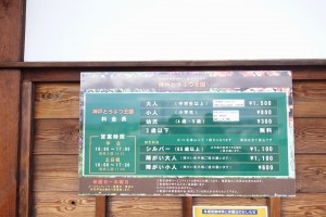 神戸どうぶつ王国は動物とふれあい放題！カピバラもハシビロコウもいるぞ！