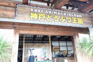 神戸どうぶつ王国は動物とふれあい放題！カピバラもハシビロコウもいるぞ！