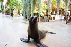 神戸どうぶつ王国は動物とふれあい放題！カピバラもハシビロコウもいるぞ！
